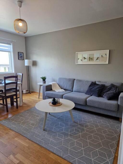 In Downtown Appartement Reykjavik